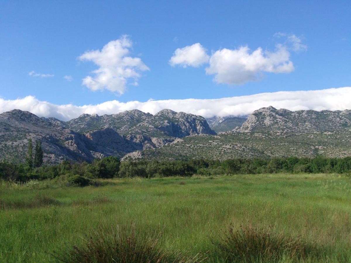 Apartments Amari Starigrad Paklenica Exteriör bild